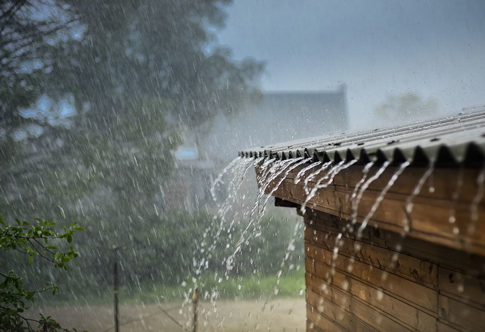 What should a water damage repair company provide?