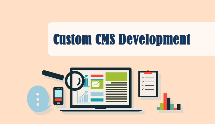 Custom CMS Development Services