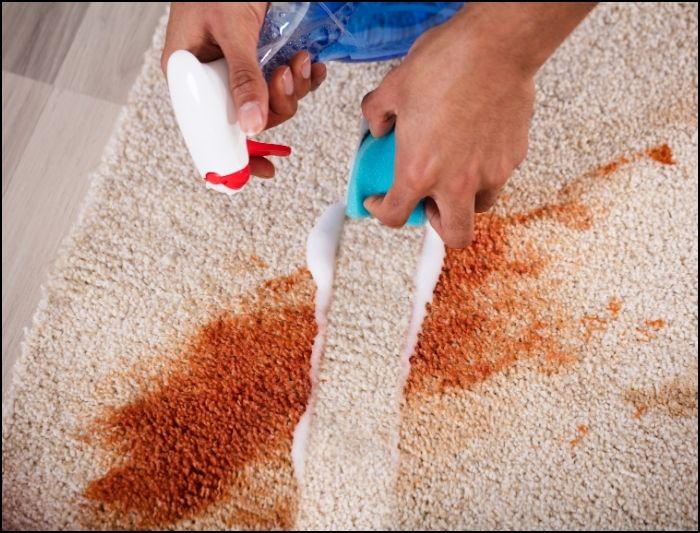 Rug Cleaning Hacks to Keep Your Living Room Fresh and Clean
