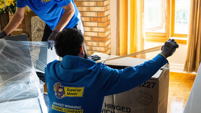 Signs you need professional movers for your furniture safety