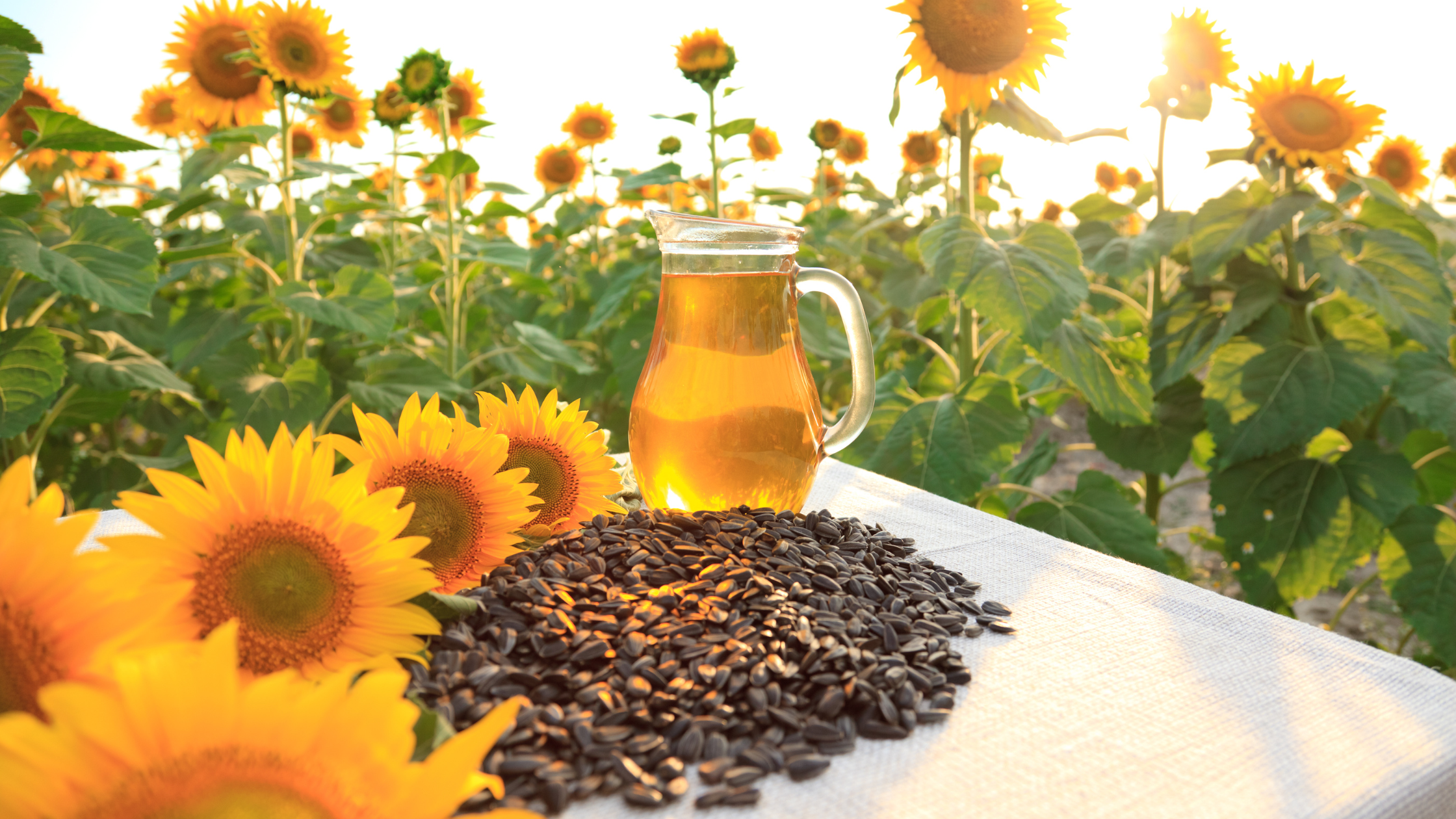 Discovering the range of Uses for Healthy Oils