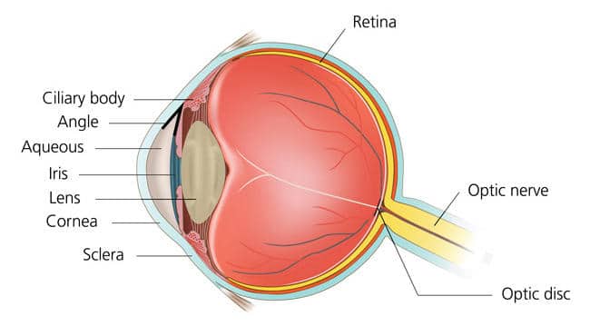 Glaucoma Treatment in Delhi