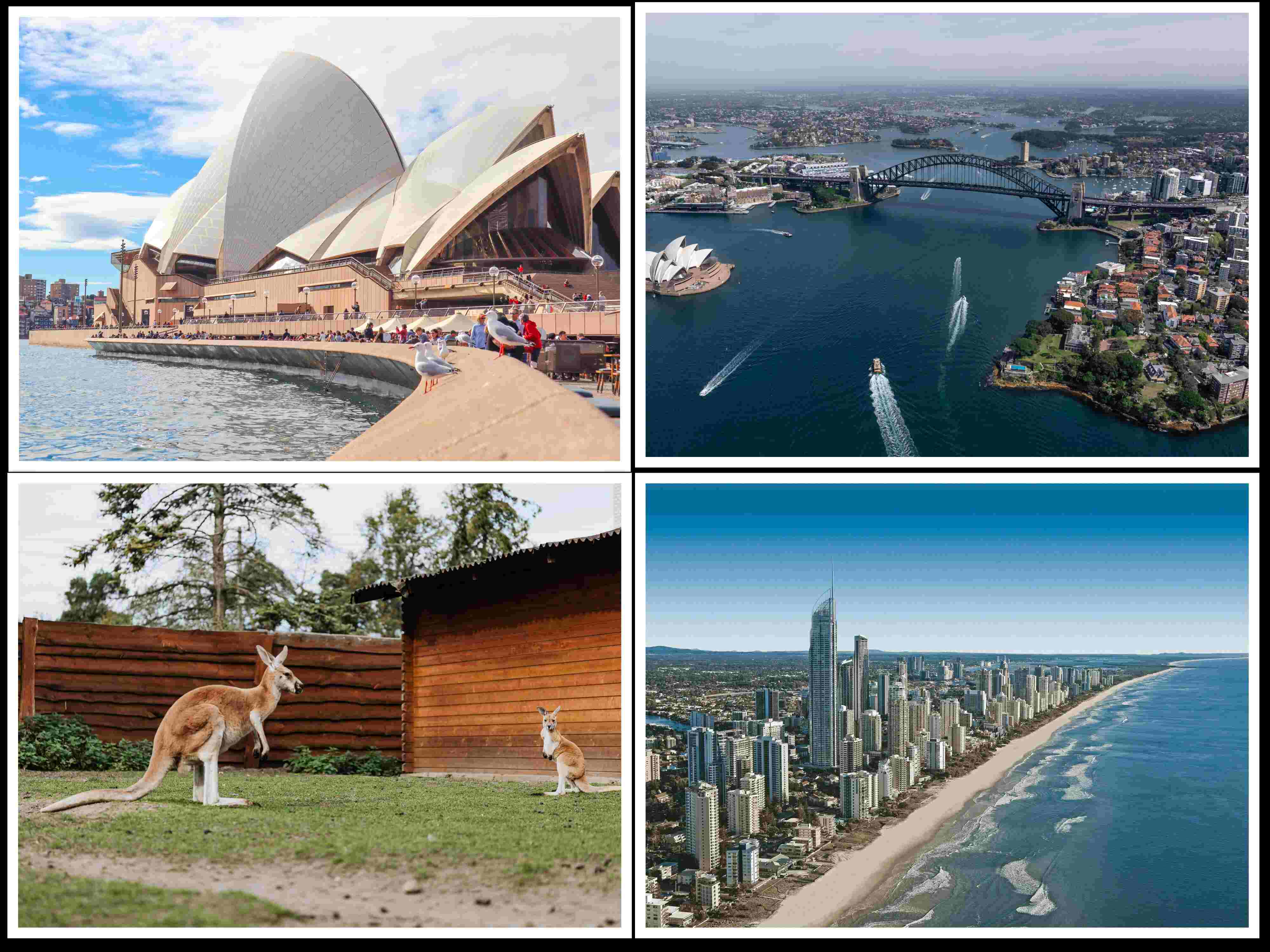 Unveiling Australia's Wonders: Unforgettable Journeys with Dott Holidays!