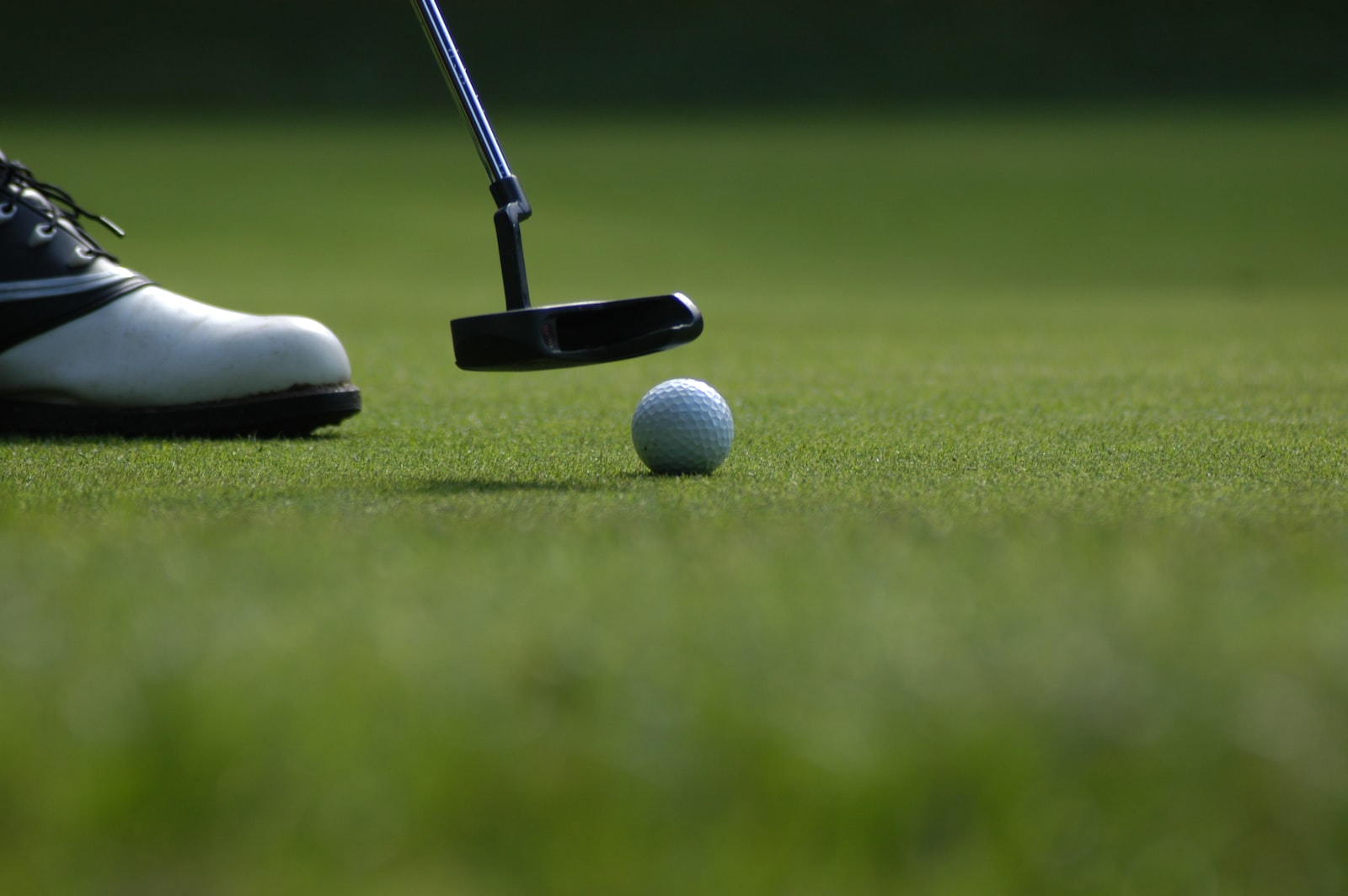 Don't Let the Weather Stop You From Golfing: Discover the Ultimate Indoor Golfing Experience at Moho Golf