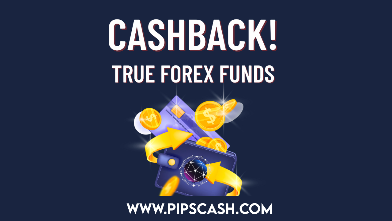 Maximizing Profits in Foreign Exchange Trading