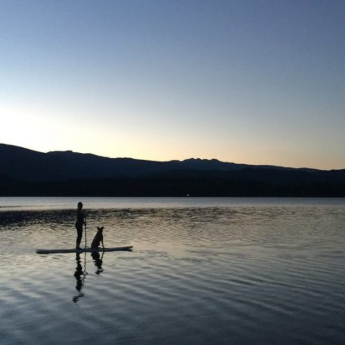 Great Tips to Promote Emotional Intelligence