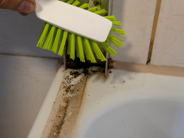 How to Tackle Mould and Mildew in Tile Grout: Prevention and Remedies
