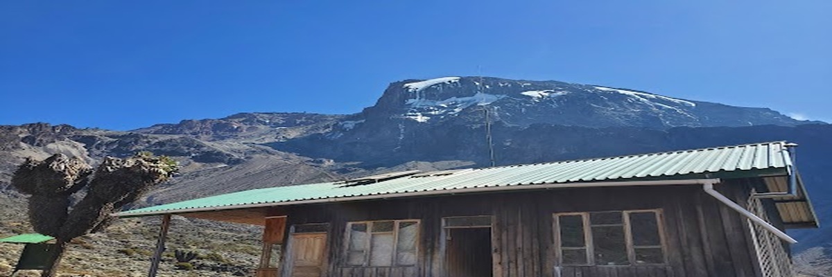 Unveiling Kilimanjaro: Crafting Your Ultimate Summit Adventure