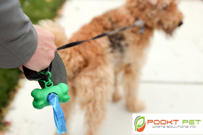 The Best Pet Waste Removal Service In Canada Is Pookt