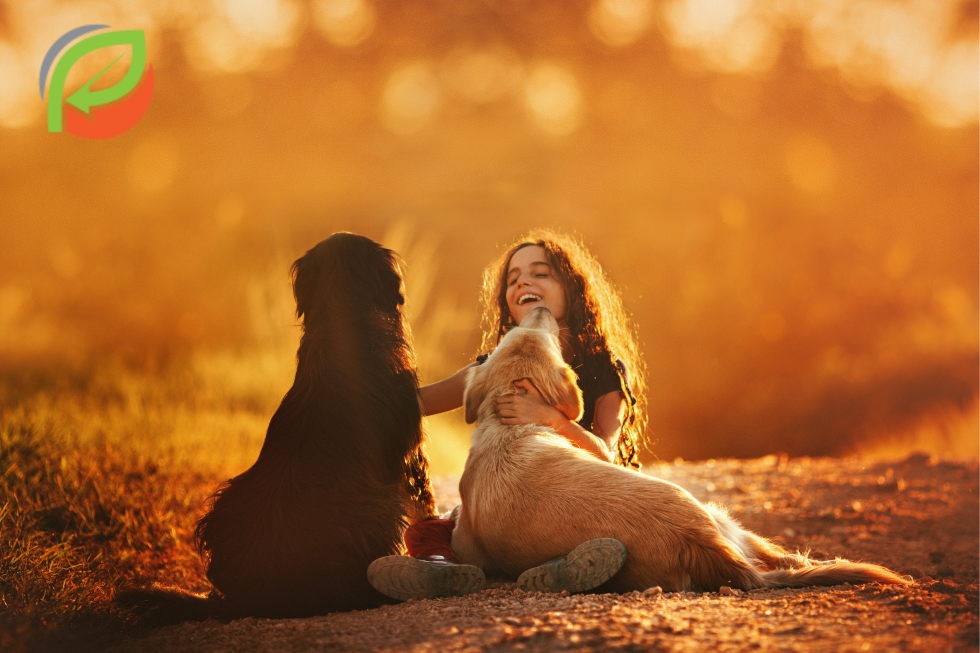 5 Reasons to Hire a Professional Dog Poop Collection Service for waste pickup
