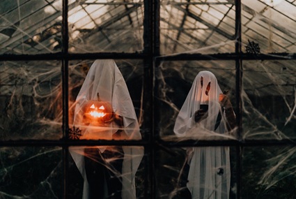 Halloween decoration ideas for windows and blinds
