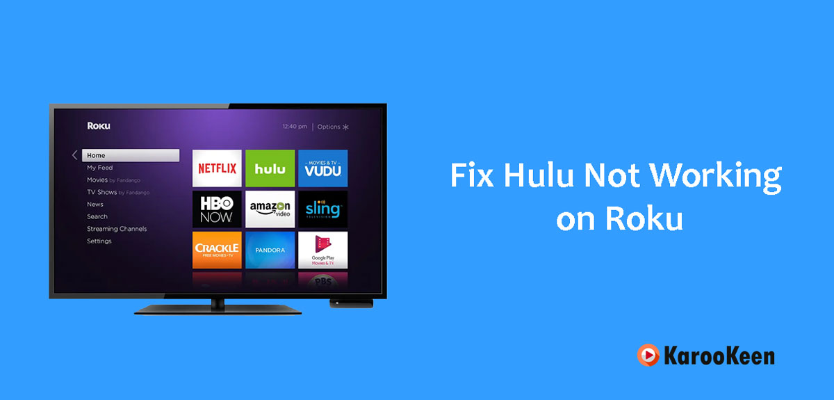Fix Hulu Not Working on Roku (Quick Fixes 2023)