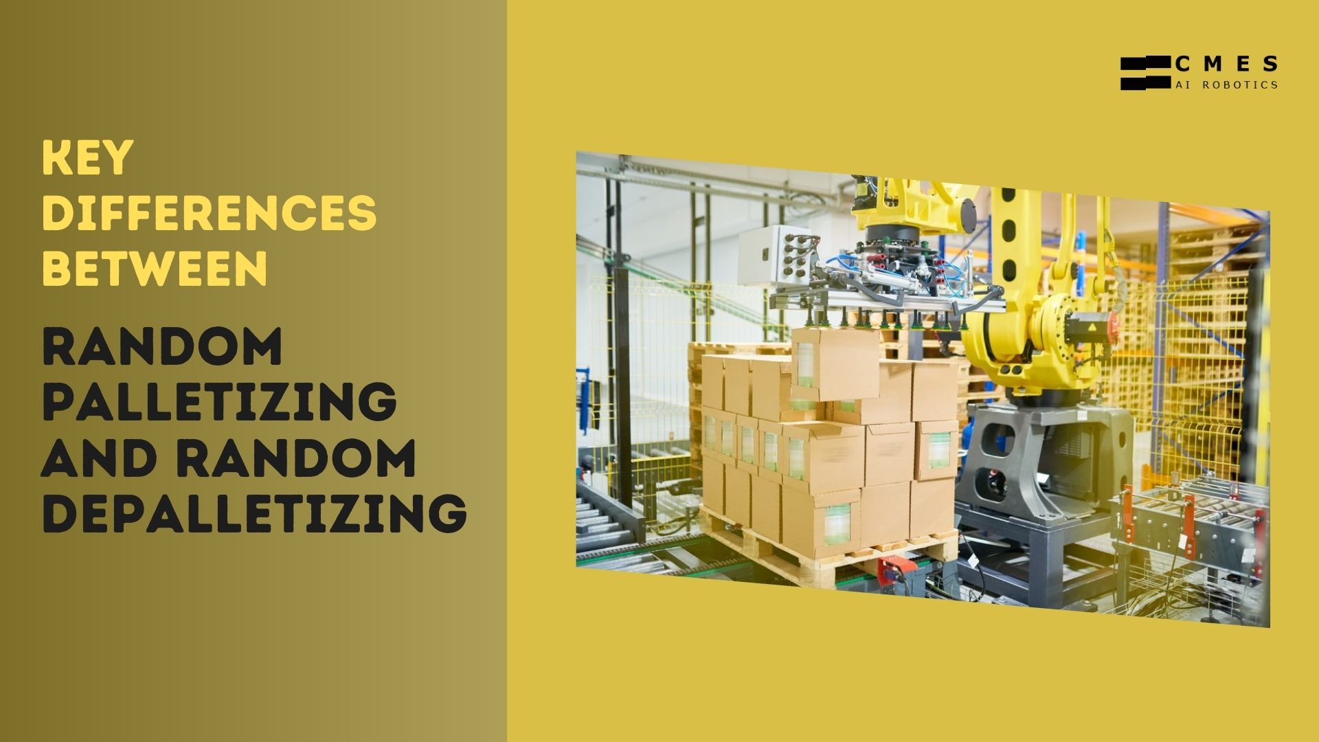 What are the Key Differences Between Random Palletizing and Random Depalletizing?