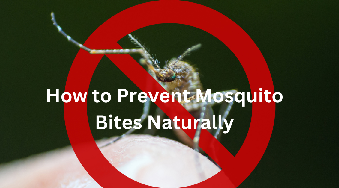 How to prevent mosquito bites naturally