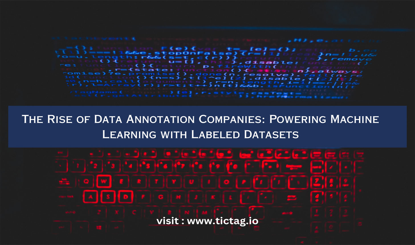 The Rise of Data Annotation Companies: Powering Machine Learning with Labeled Datasets