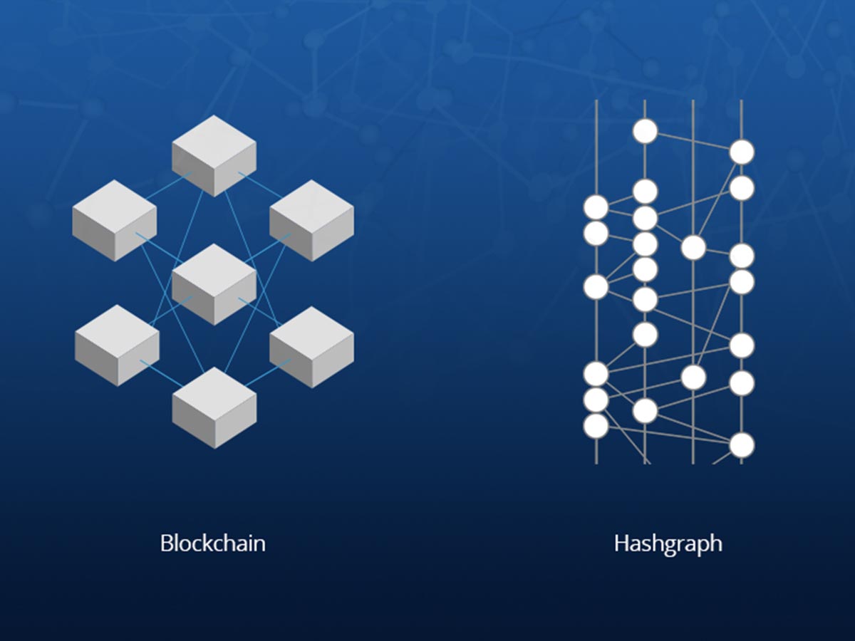 An Investor's Guide to Profiting from the Hashgraph Market