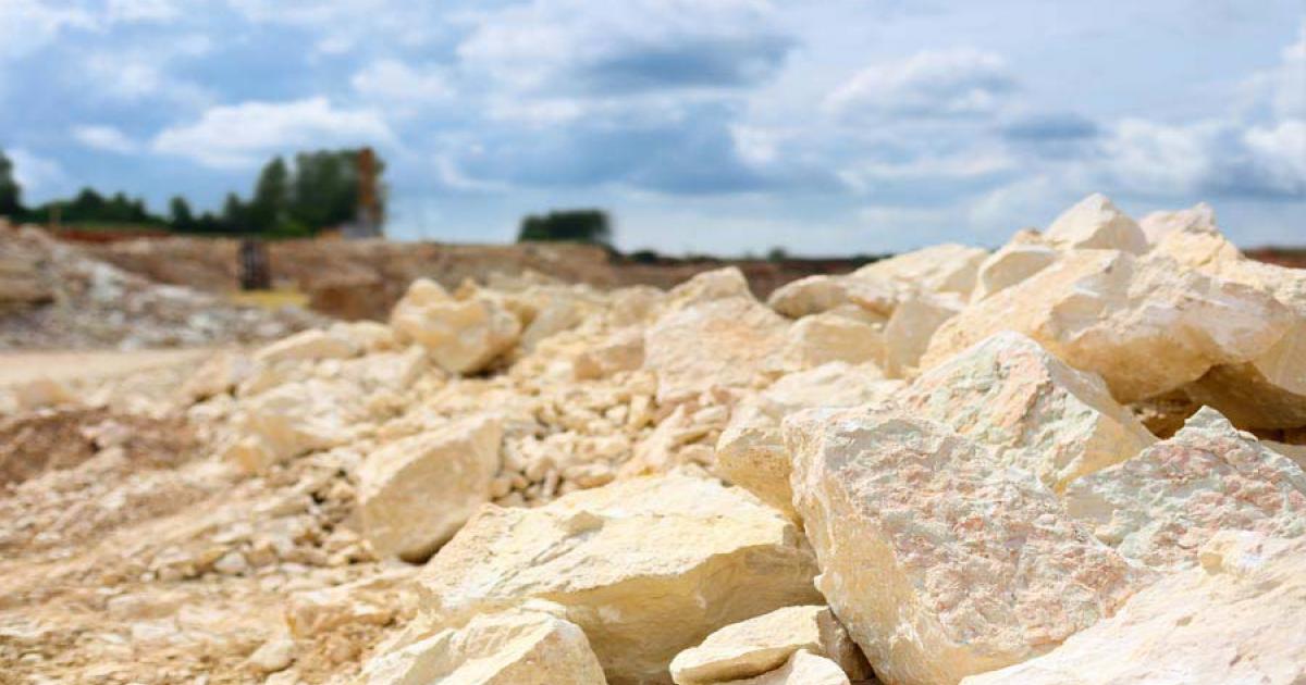 Limestone: A Treasure Trove of Fossils