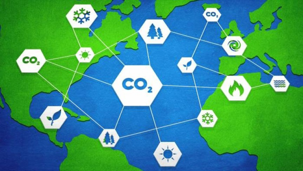Carbon Credit Market Innovators: Leaders in Climate Change Mitigation