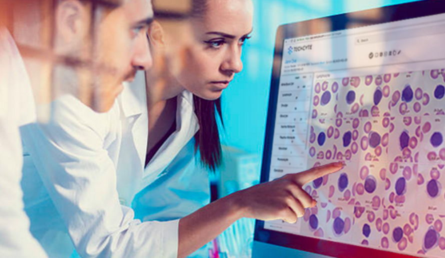 Driving Efficiency in Healthcare: The Impact of the Digital Pathology Market