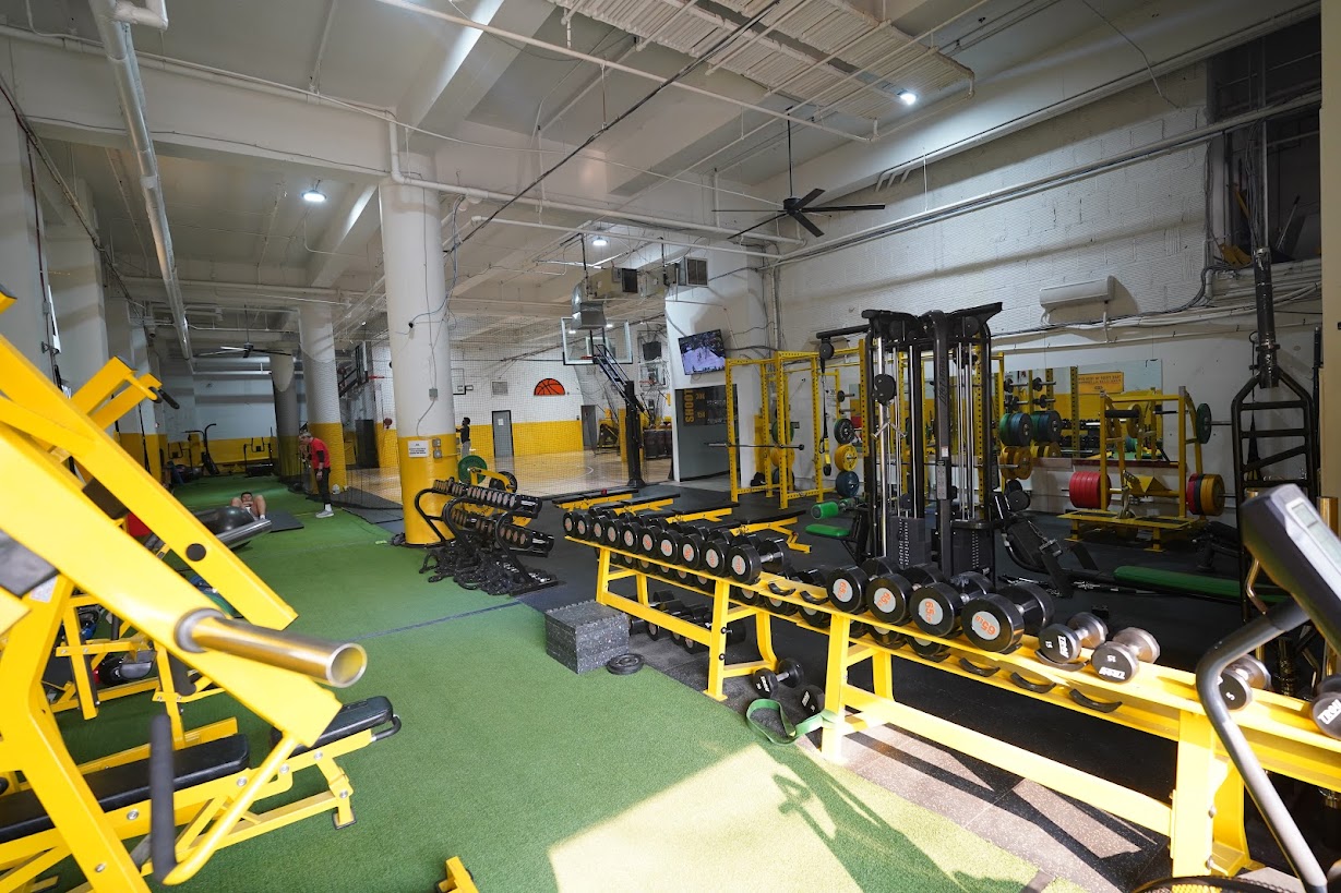 The ultimate guide to choosing the best athlete factory: what you need to know