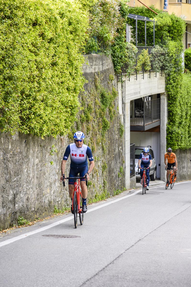 Pedaling Piedmont: Exploring Vineyard Treasures on a Road Bike Adventure