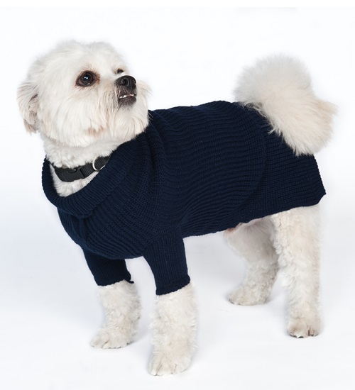 From Style to Safety: A Closer Look at Neopaws' Dog Sweaters in Toronto