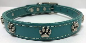 Enhancing Canine Comfort and Style: Neopaws Dog Collars in Toronto Unveiling Neopaws: Revolutionizing Canine Accessories