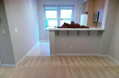 Tips for Choosing Moving Out Cleaning Services