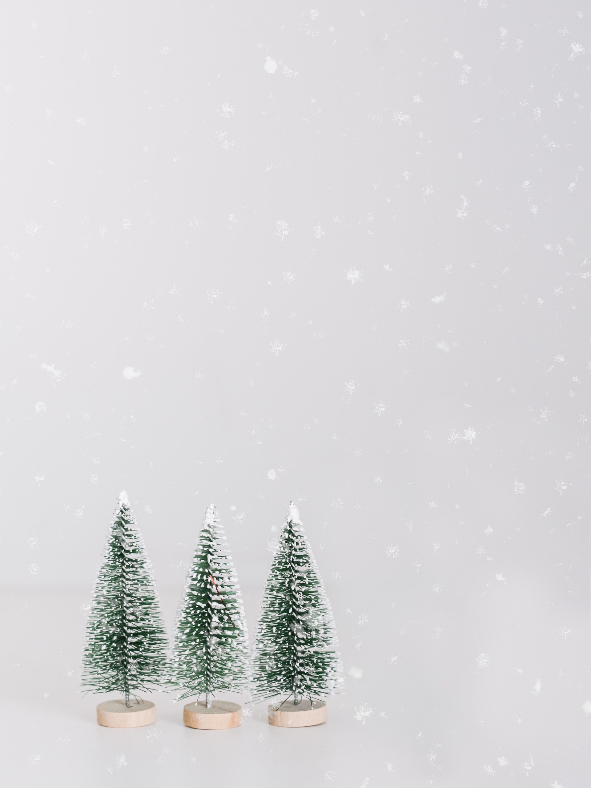 Unwrapping Success: 6 Holiday Marketing Trends for 2023