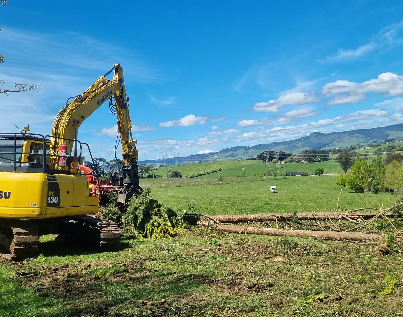 Deadwooding: Pruning for a Healthy Tree