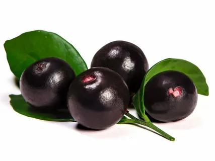 Acai Berry Market Expanding Globally: New Frontiers