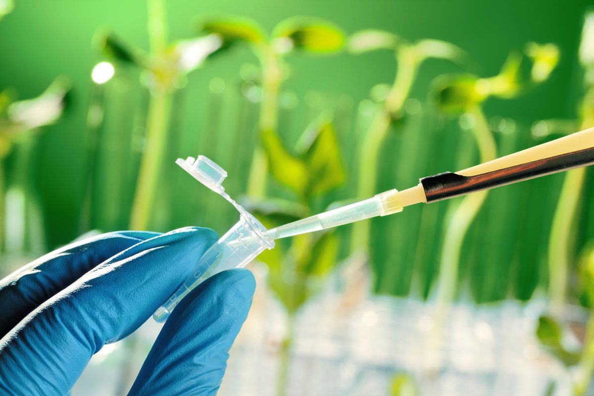 Global Biotechnology Market Is Estimated To Witness High Growth