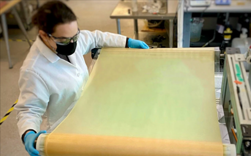 Ion Exchange Membrane Market: Advancements Driving Sustainable Solutions 