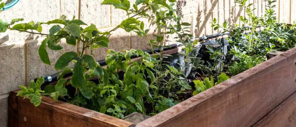 How to design a low-maintenance garden in Perth