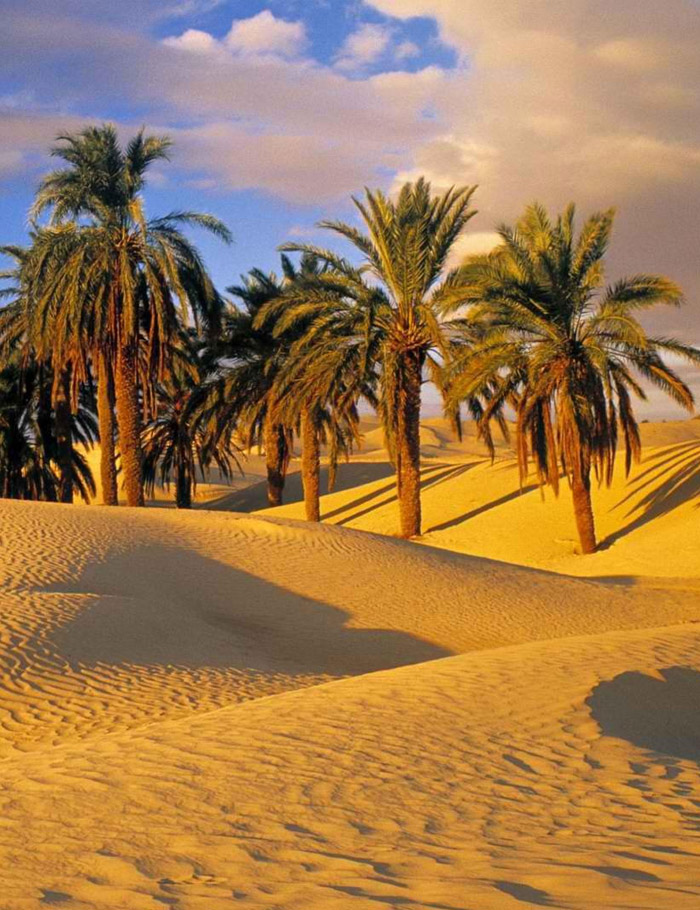 Embark On Adventures: Unveiling The Best Morocco Sahara Tours