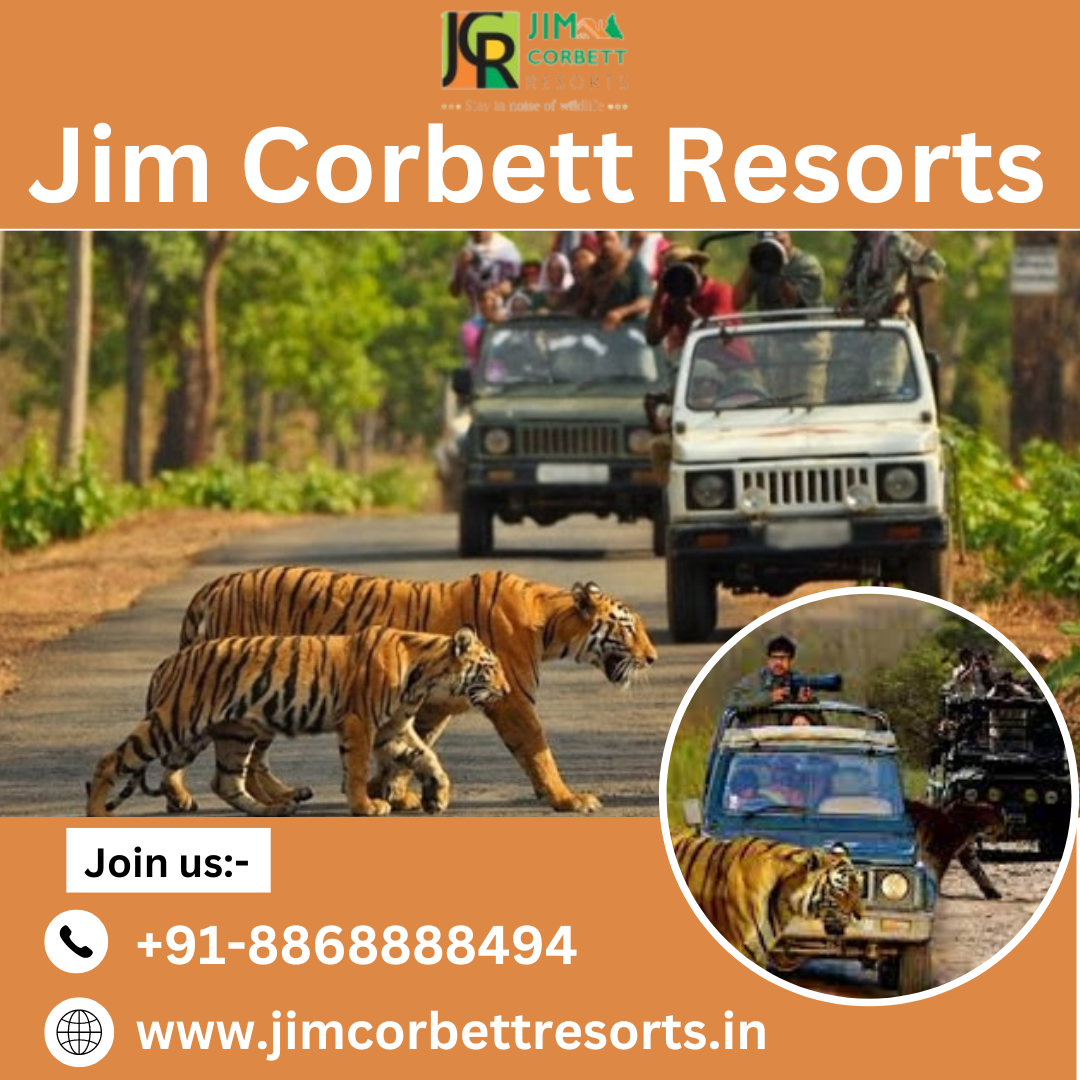 Unveiling the Thrill : Corbett Jeep Safari Experience