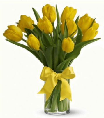 Convenient Tulips Delivery - Buy Fresh And Beautiful Tulips Online