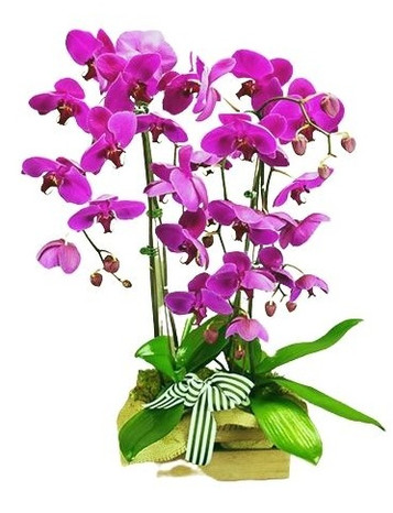 The Ultimate Guide To Flower Delivery In The Philippines