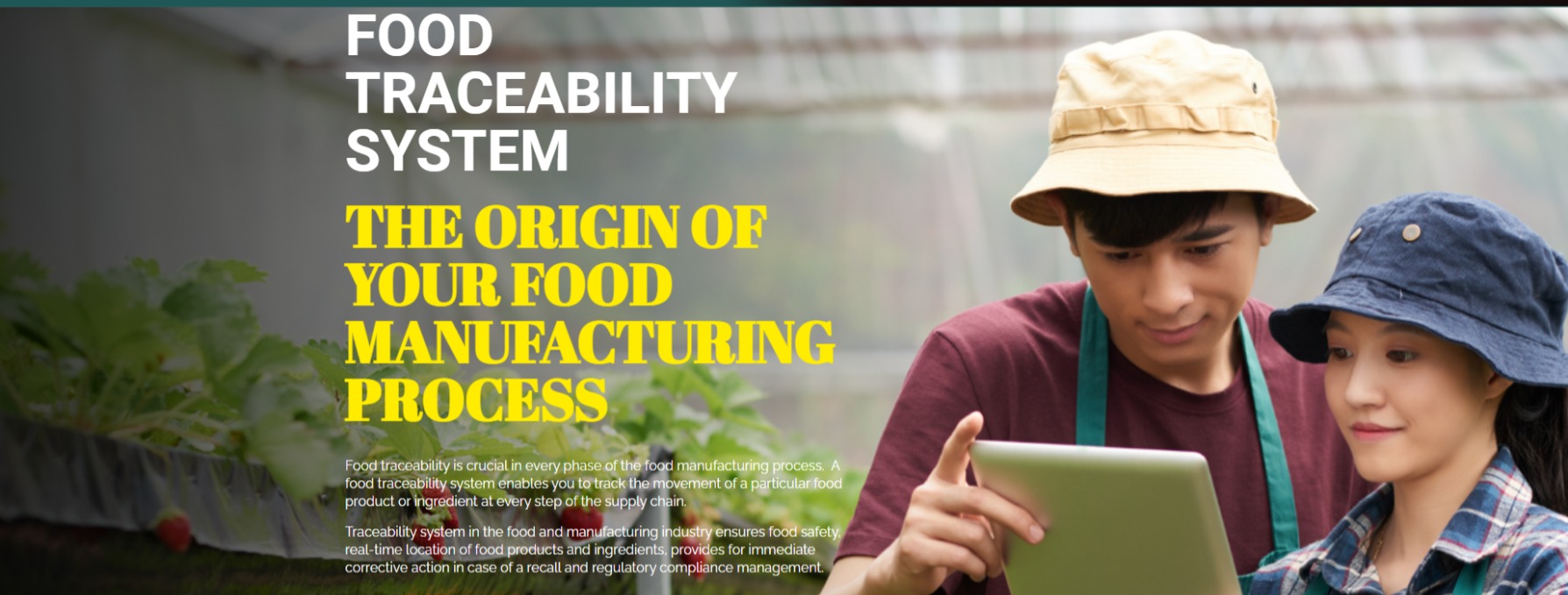Streamline Operations with Food Traceability Software