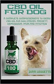 CBD Oil for Dogs