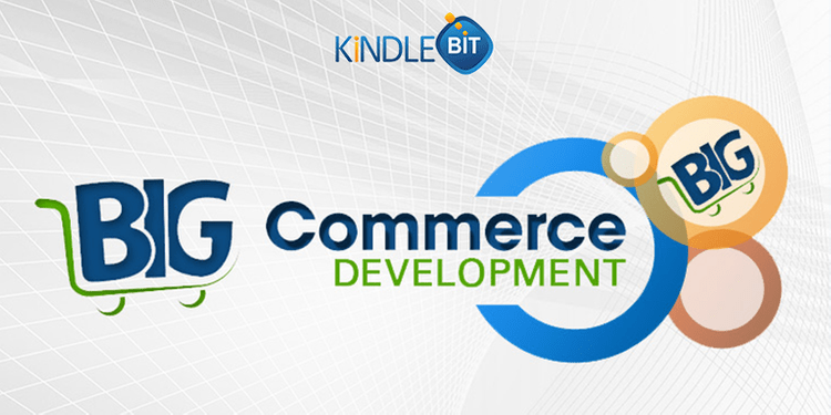 Choosing BigCommerce Plugin Development for Your WordPress Store