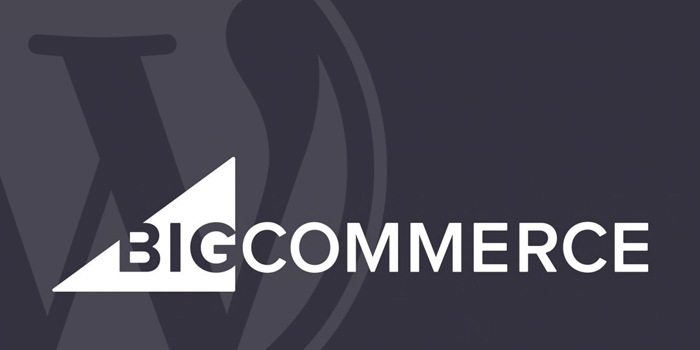 E-Commerce and the Role of BigCommerce Plugin Development