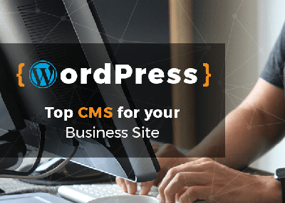 Infographic: WordPress Development for your Business Site