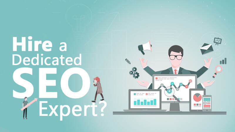 What are the benefits of hiring a dedicated SEO expert in India?