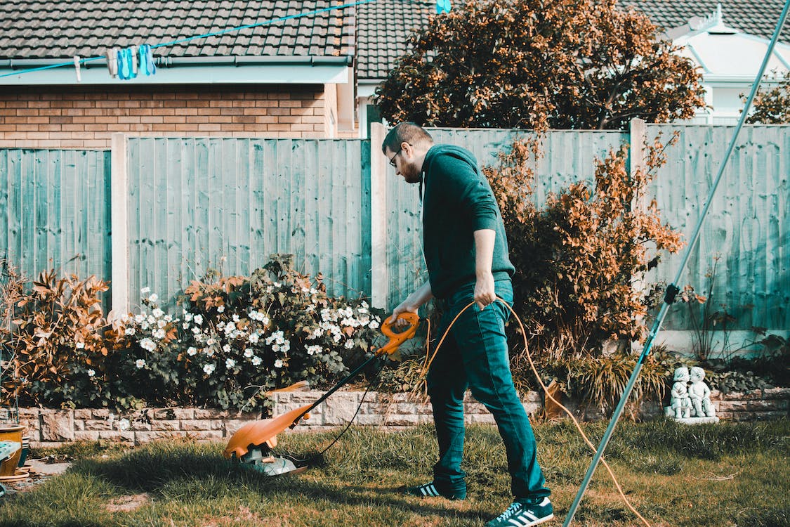 Gardening 101: Essential Tips For Keeping Your Garden Healthy and Vibrant