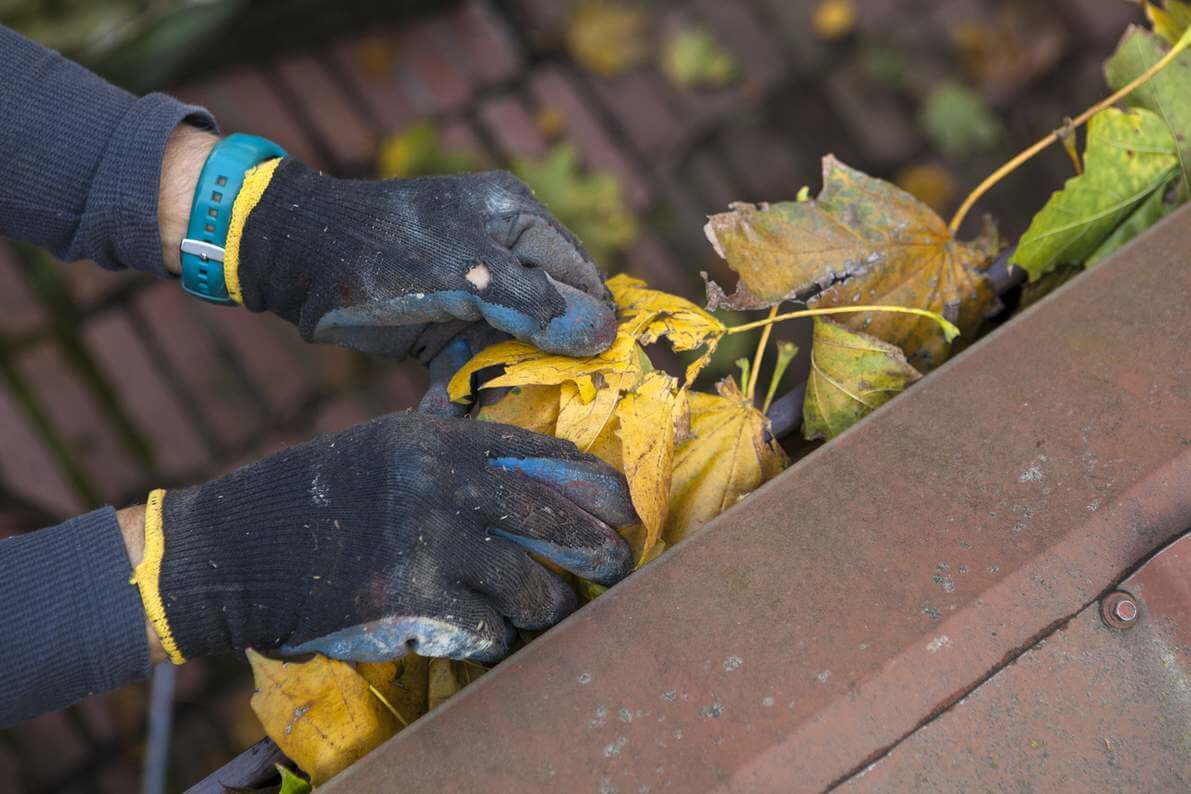 5 Common Problems that Arise from Neglecting Your Roof Gutter Maintenance