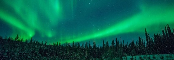 Best Web Design Agencies in Toronto, Canada