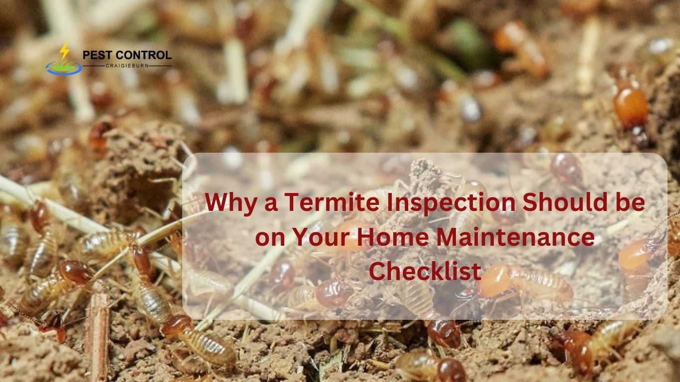 Why a Termite Inspection Should be on Your Home Maintenance Checklist 