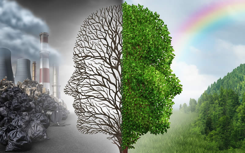 Effects of Global Warming on the Environment - Questudy