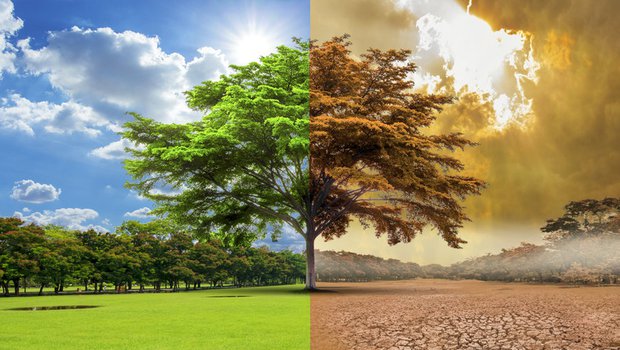 Effects of Global Warming on the Environment - Questudy